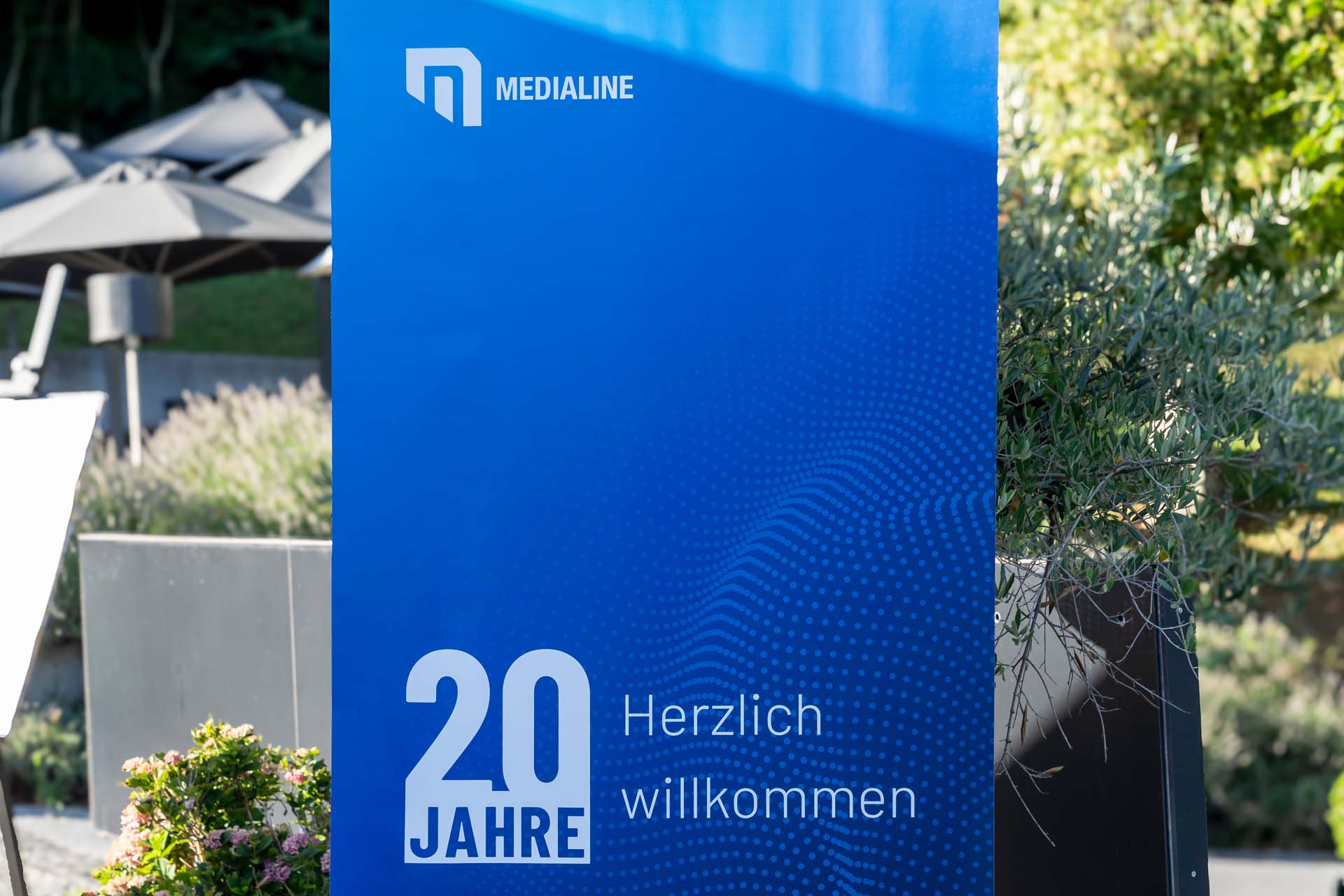 Medialine 001.jpg