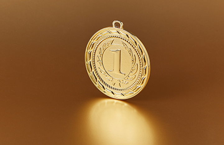 Gold für Medialine: Nachhaltige Potenziale für IT-Unternehmen