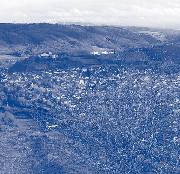 IT Company in Bad Sobernheim