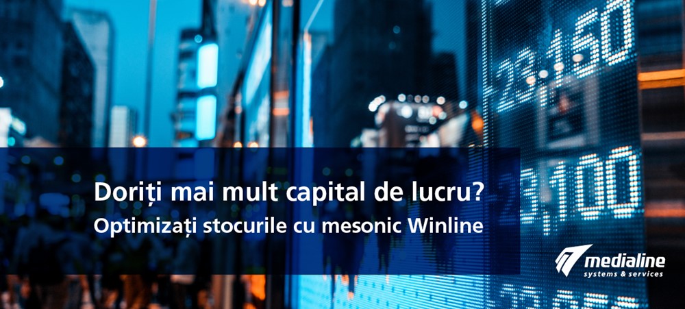 Doriţi mai mult capital de lucru? Optimizaţi stocurile cu mesonic Winline