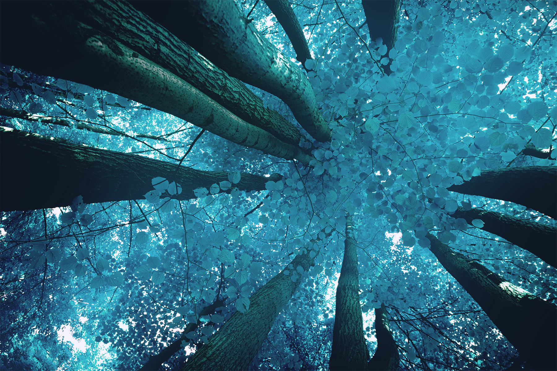 Unde ne duce călătoria