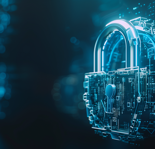 Security Consulting