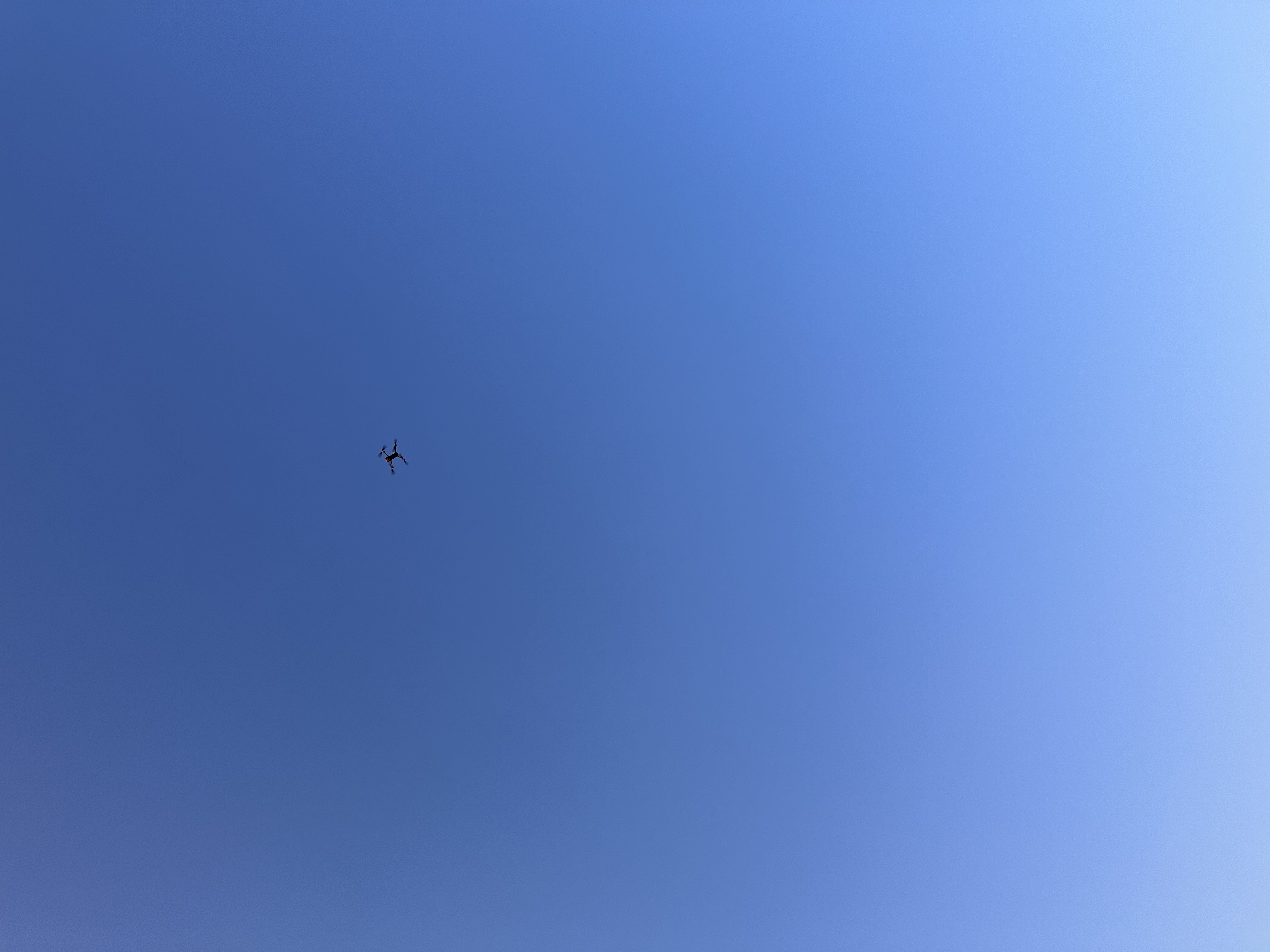 Aktuelles_0523_Kitzrettung_Mai (9)