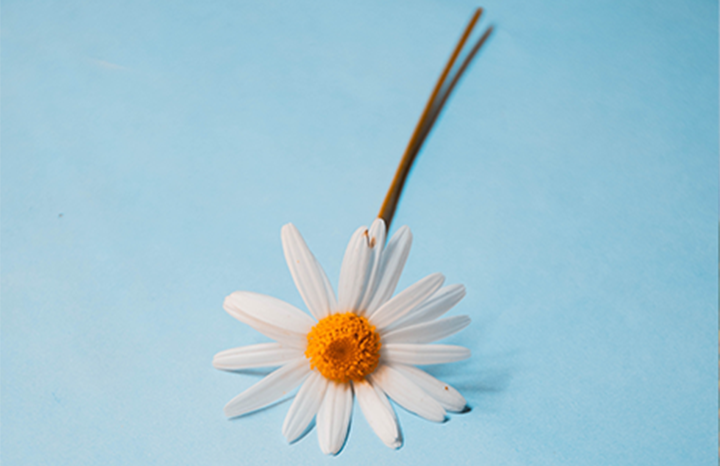 CSR Workshop bei Medialine