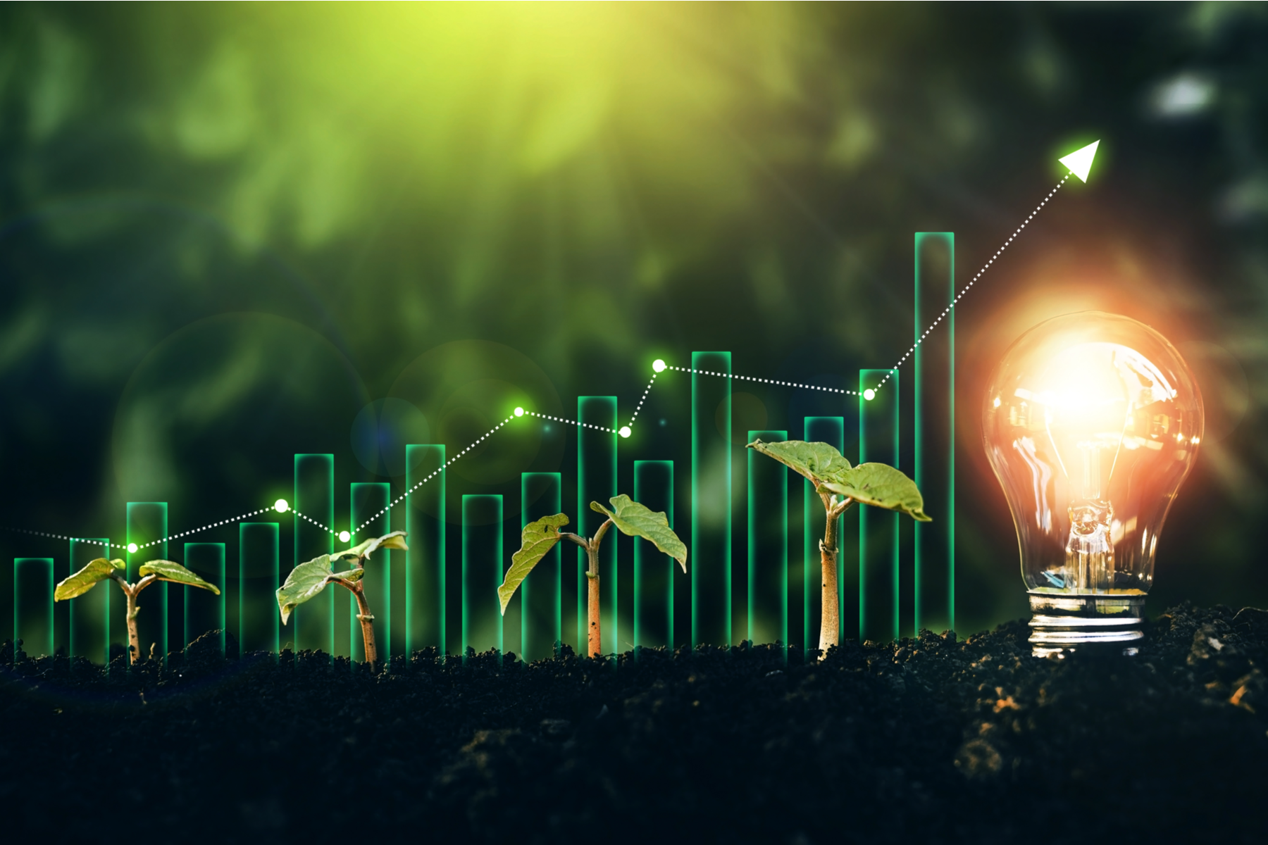 Transformarea digitală