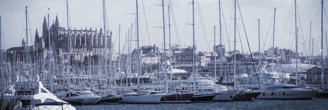 IT Dienstleister in Palma, Mallorca