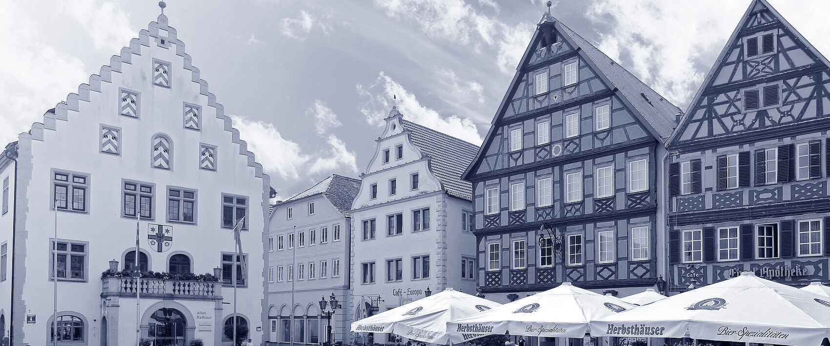 IT Unternehmen Erlenbach am Main