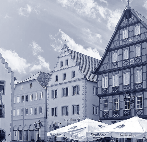 IT Service Erlenbach on the Main