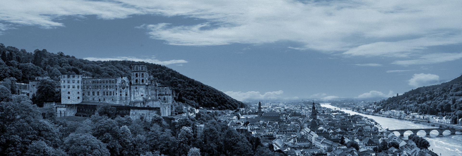 IT Service Heidelberg