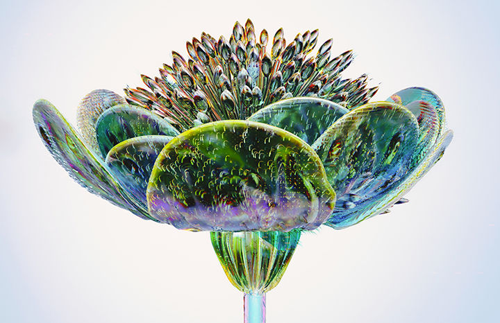 IT im Dienst der Umwelt: Eine starke Partnerschaft für Nachhaltigkeit