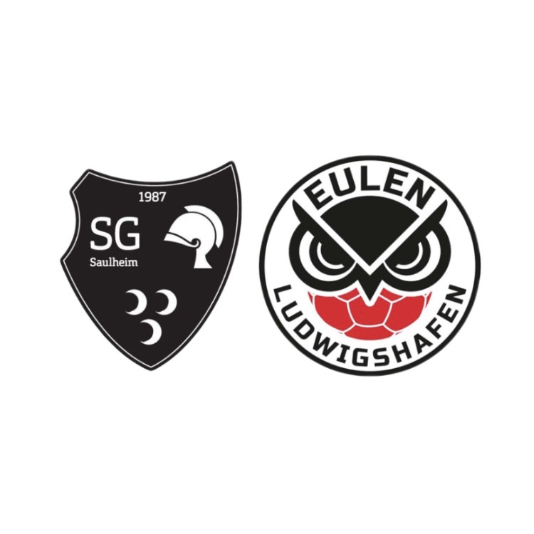 Handball-Benefizspiel sponsored by Medialine