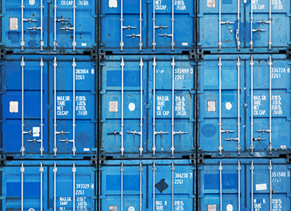 Container - Managed PoC Managed PoC: Tanzu Basic Suite & NSX Advanced Load Balancer